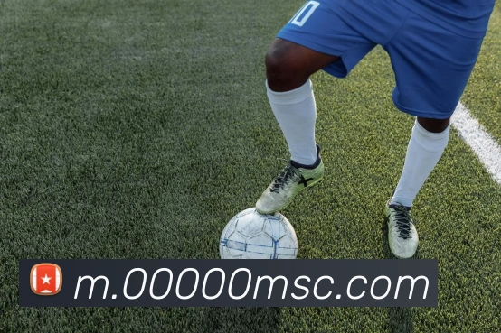 w66国际利来服务体系